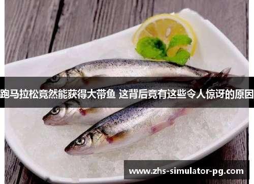 跑马拉松竟然能获得大带鱼 这背后竟有这些令人惊讶的原因 跑马拉松竟然能获得大带鱼 这背后竟有这些令人惊讶的原因