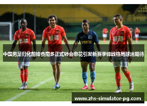 中国男足归化前锋费南多正式转会申花引发新赛季锋线格局球迷期待